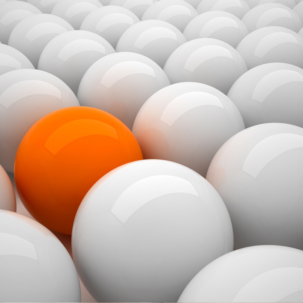 shutterstock_87950368_2